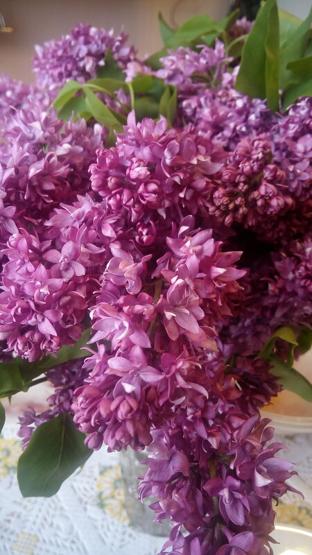 ,,, - Сергей Тимоновский