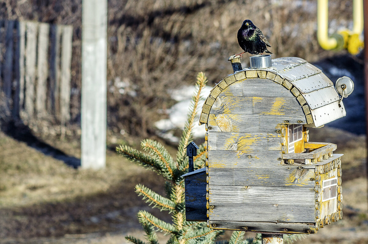 Я тебя вижу, фотограф - Андрей Щетинин