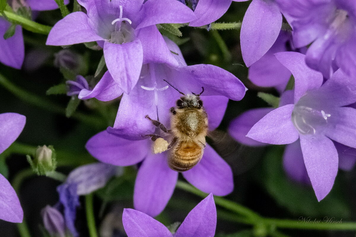 Приступаем к работе... - Николай Гирш