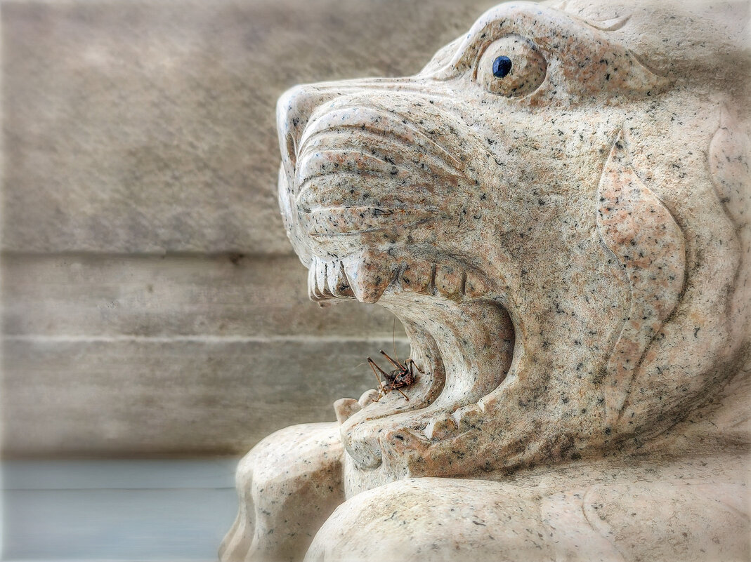 Смертельный номер - AZ east3 Смертельный номер - AZ east3