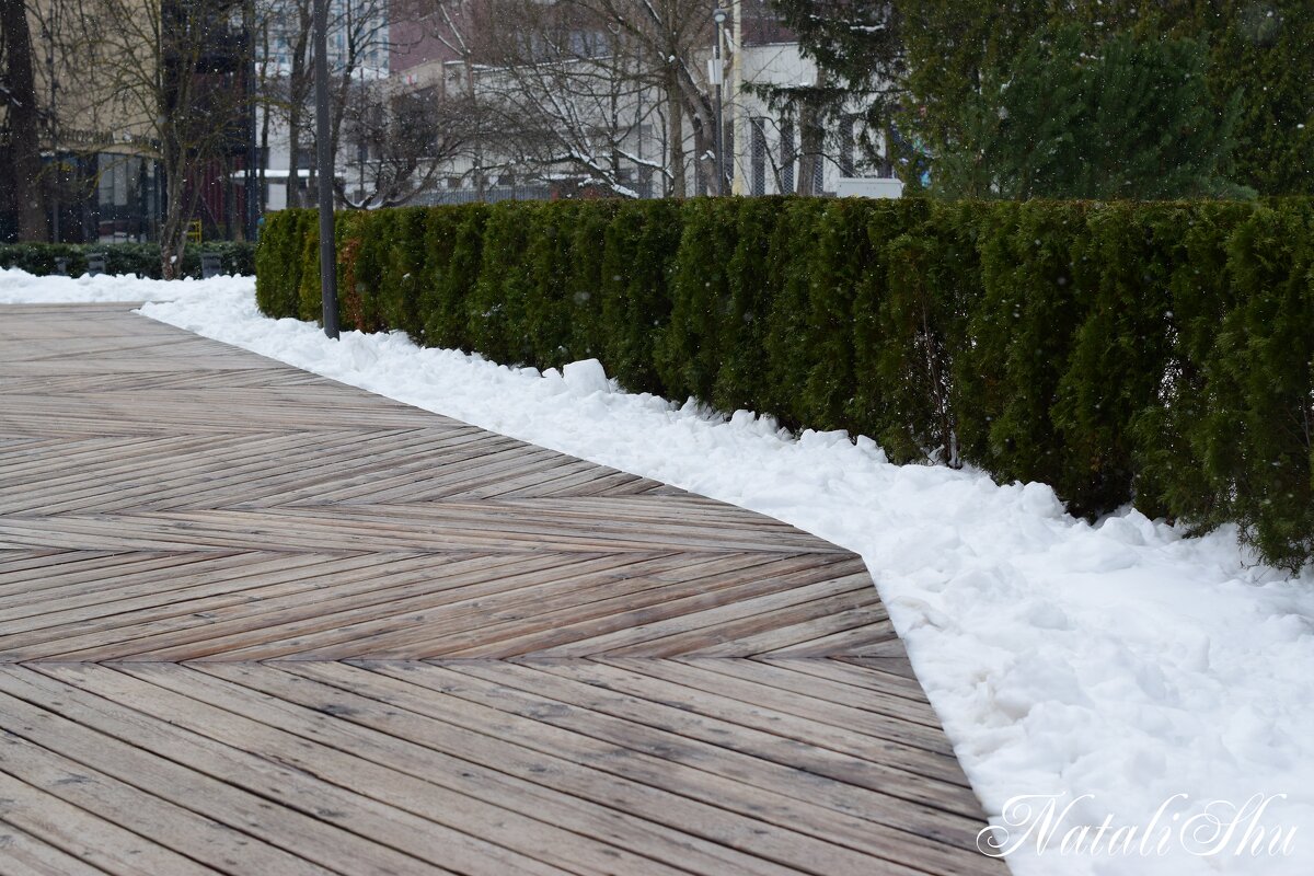 Геометрия в кадре. - Наталья Вязигина