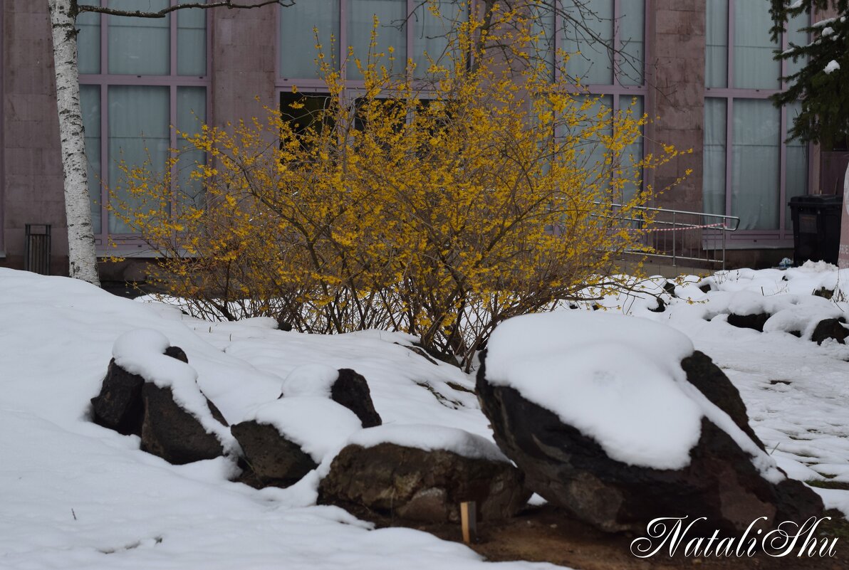 Ландшафтный дизайн. - Наталья Вязигина Ландшафтный дизайн. - Наталья Вязигина