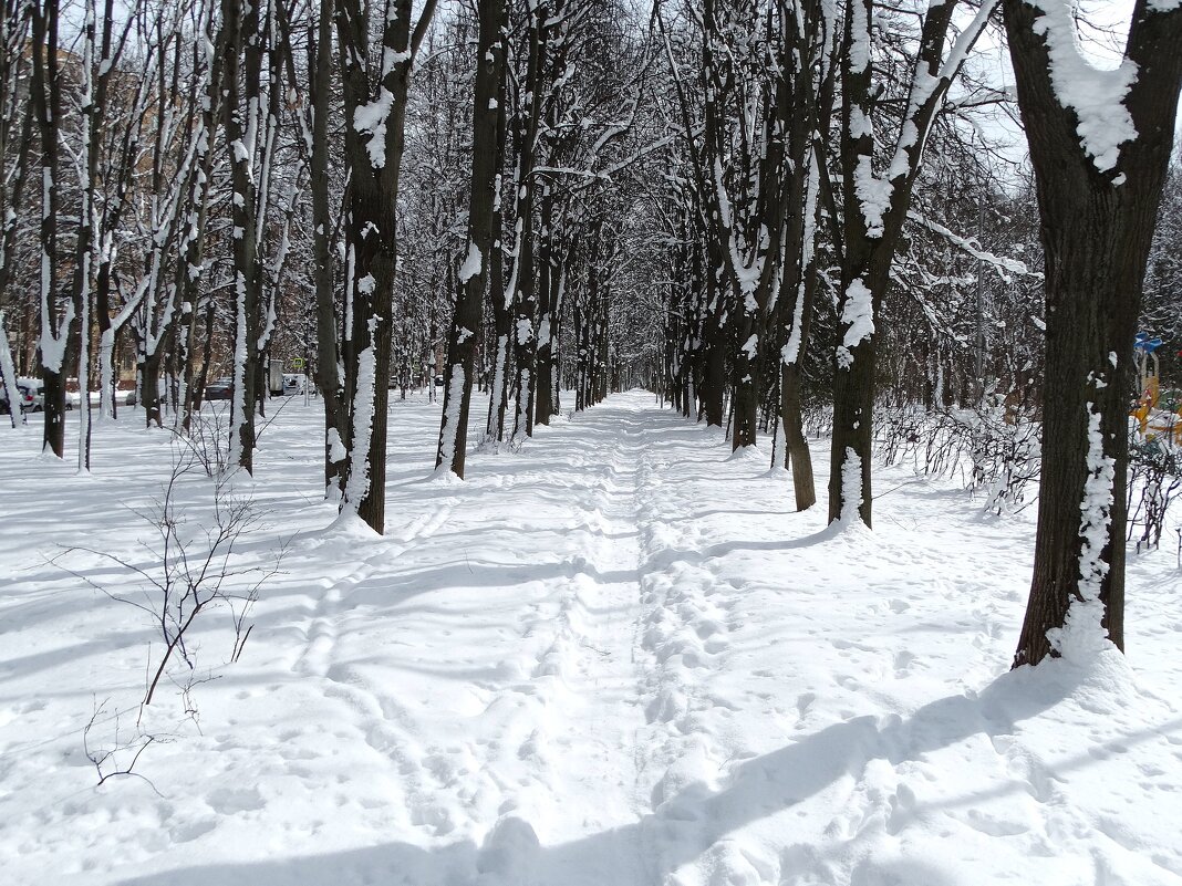 Апрельское Подмосковье - svk *