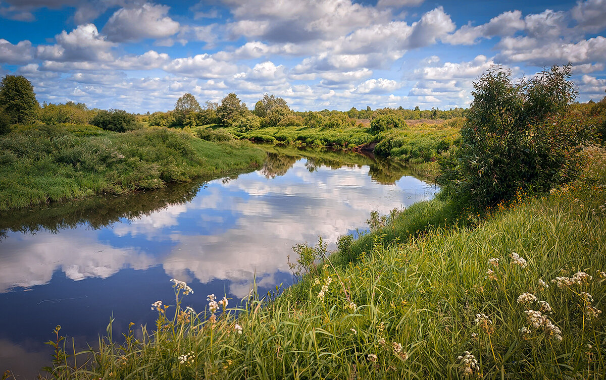 Река Мелеча - Николай Дергачев