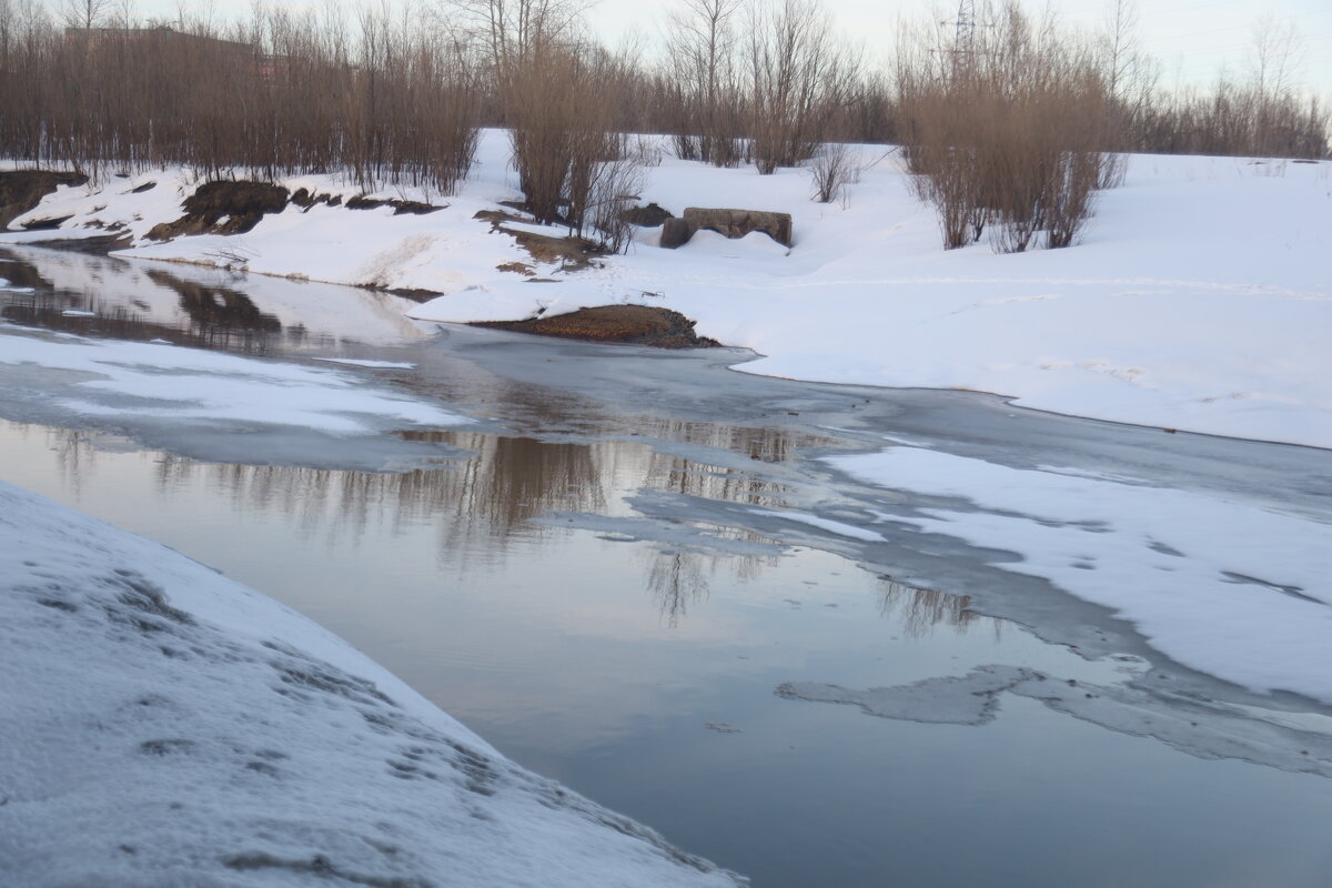 Весна идёт, весне -дорогу! - Андрей К Весна идёт, весне -дорогу! - Андрей К