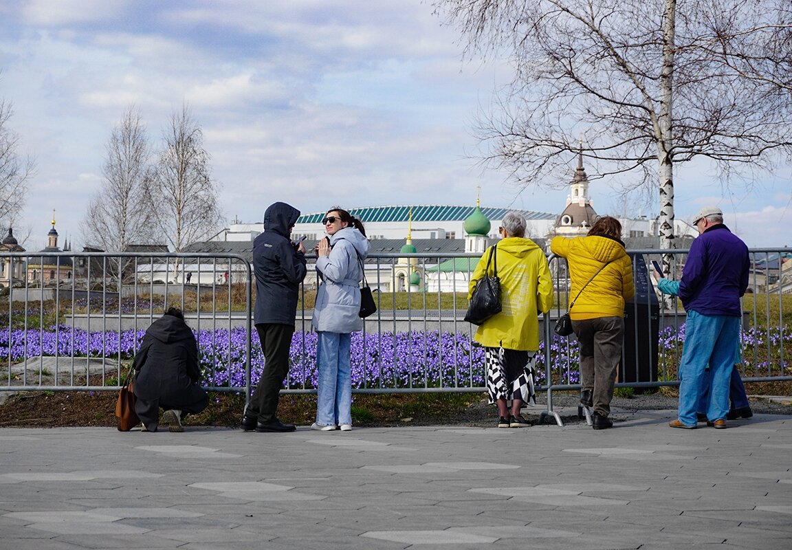 Первоцветы в Зарядье - Ольга Первоцветы в Зарядье - Ольга