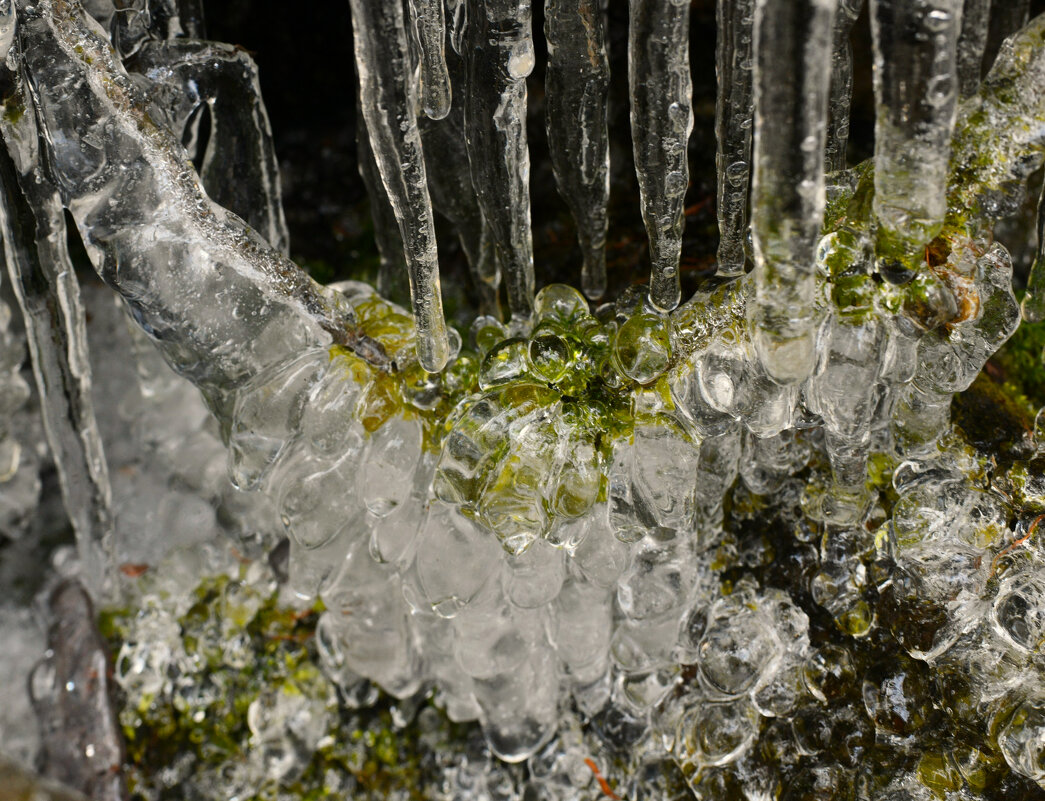 Олединение ручья - Сергей Шаврин