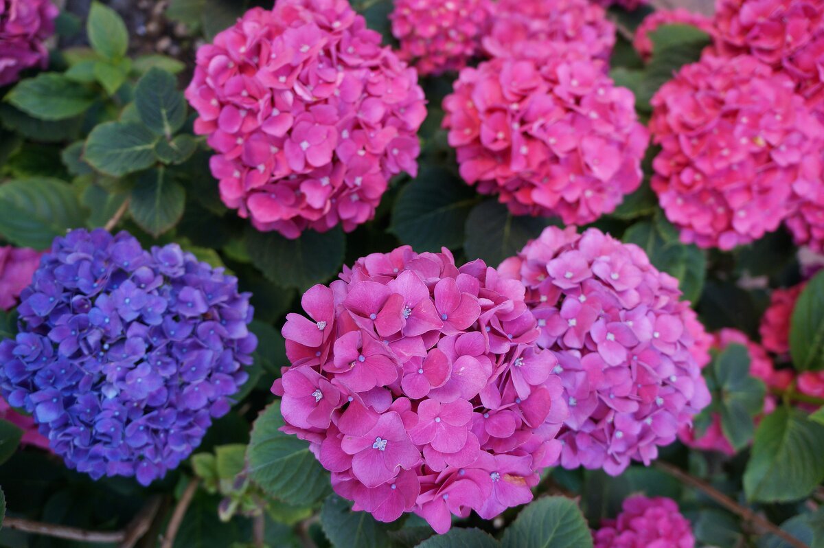 ** ** ** - Алёна Савина ** ** ** - Алёна Савина