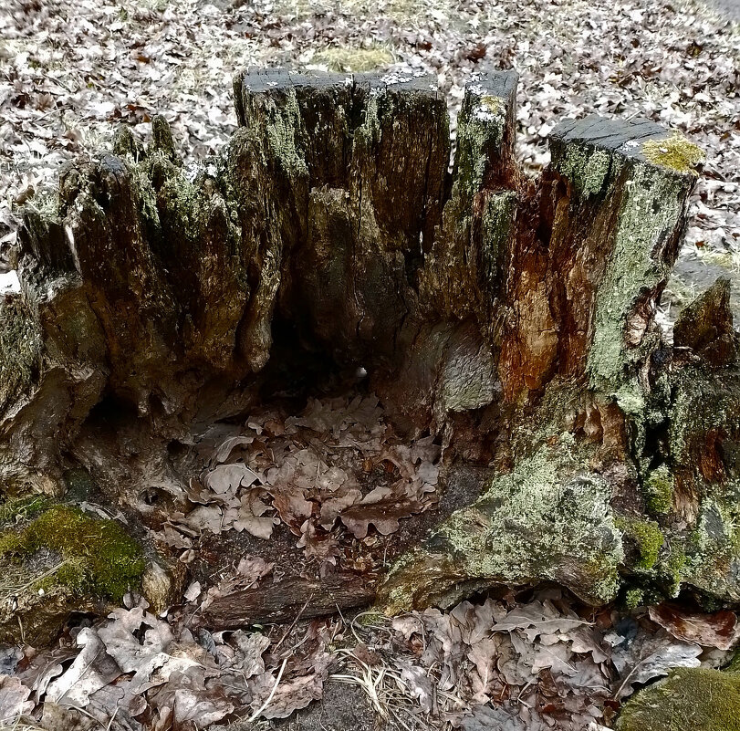 *** - Валентина Береснева *** - Валентина Береснева