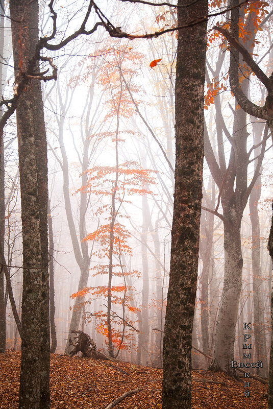 Крым осенью. - Борис 