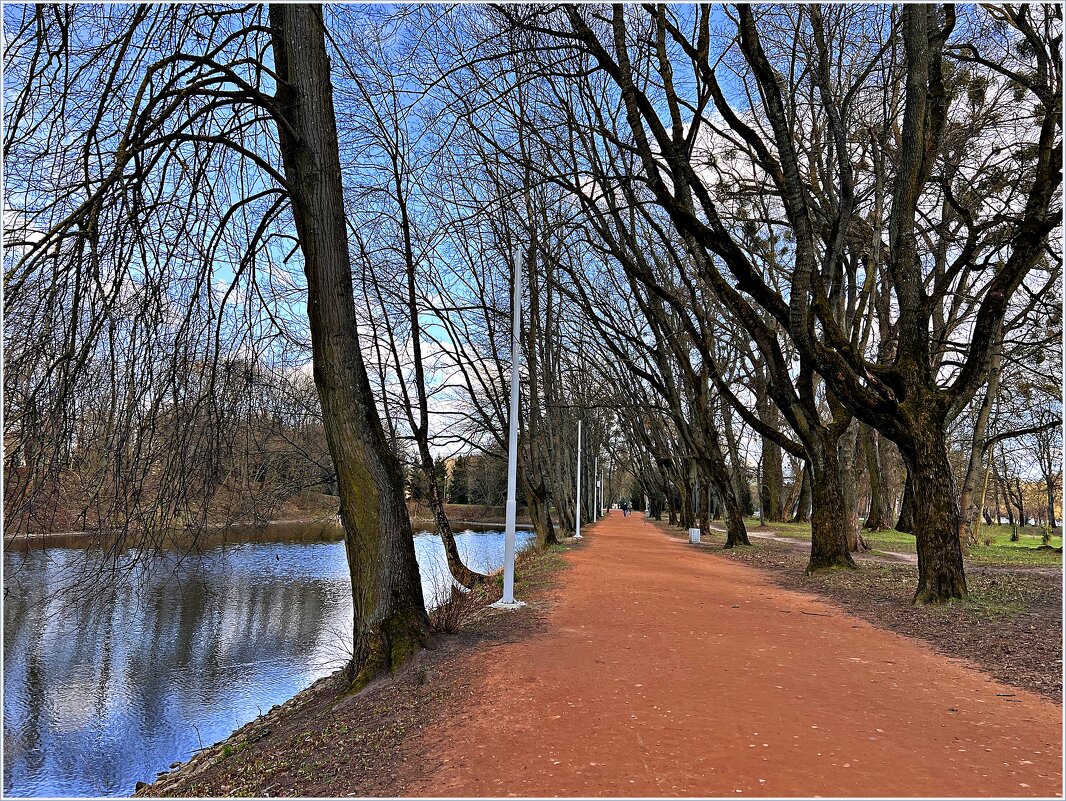 Парковая аллея. - Валерия Комова Парковая аллея. - Валерия Комова