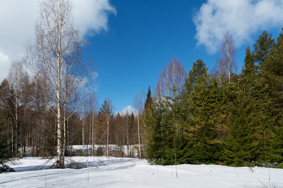 Весна - Олег Малетин