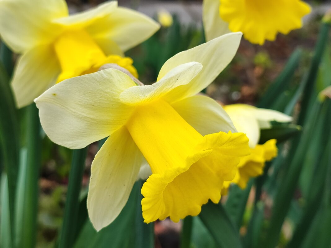 ,,, - Сергей Тимоновский ,,, - Сергей Тимоновский