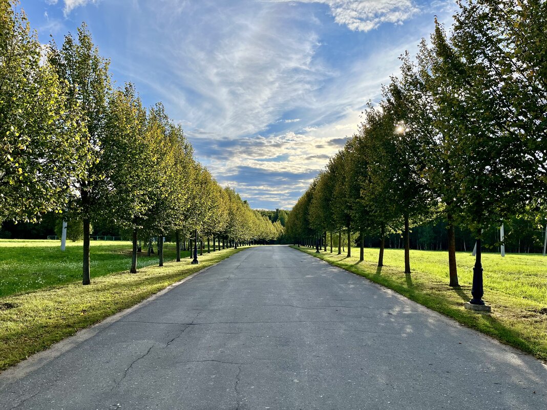Вечерняя дорога - Александр Конов Вечерняя дорога - Александр Конов
