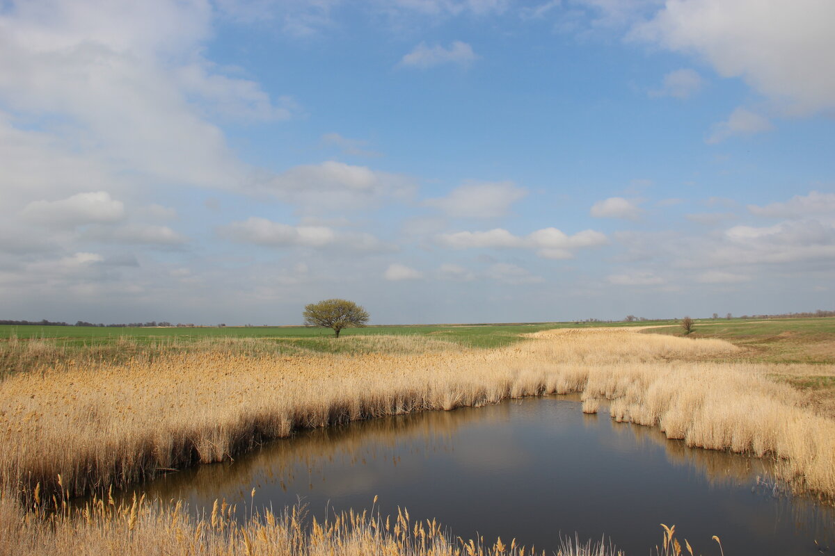 *** - Виктор *** - Виктор