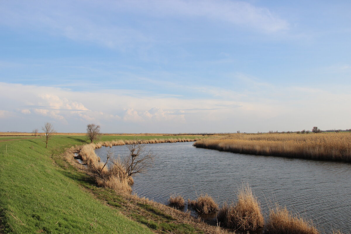 Местная река. - Виктор 