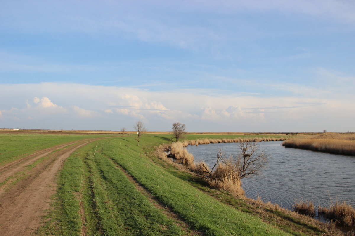 Мои дороги. - Виктор Мои дороги. - Виктор