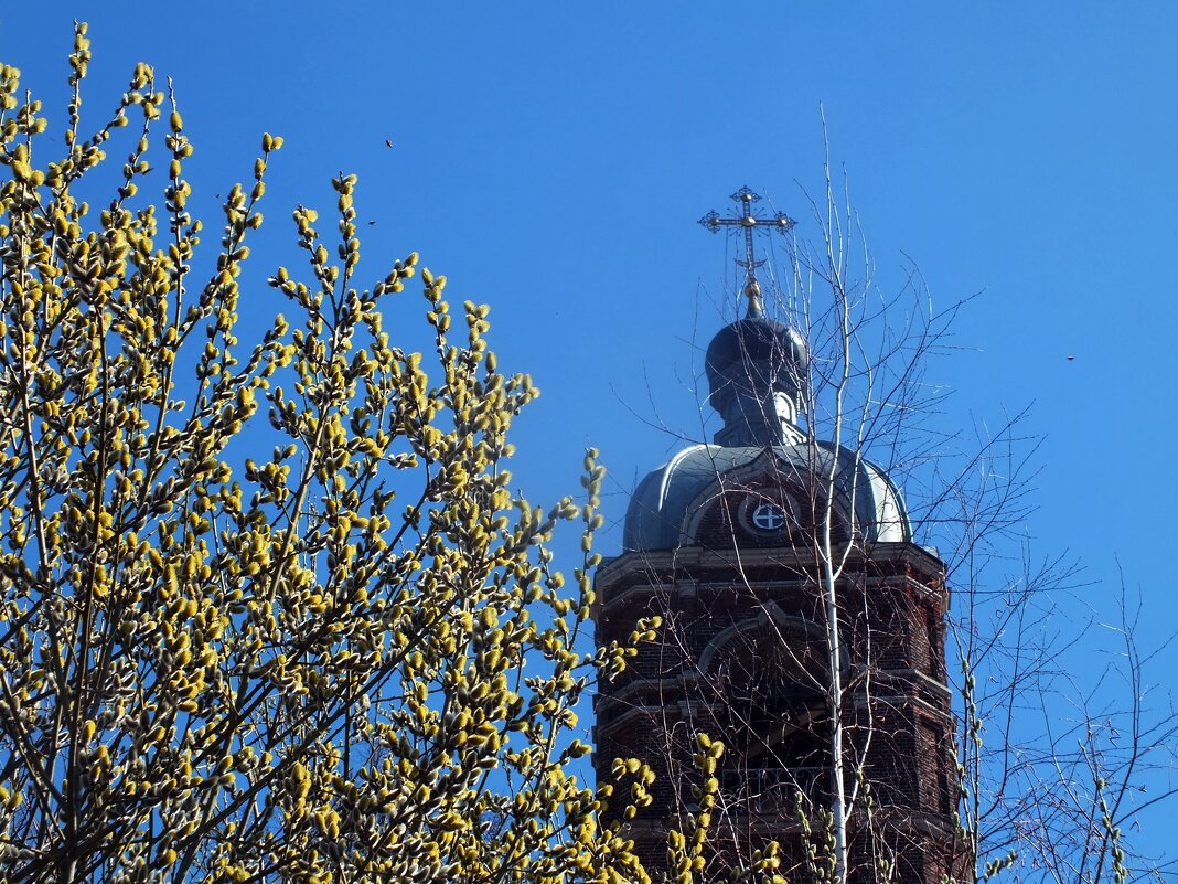 С Лазаревой субботой ! - Зоя Мишина С Лазаревой субботой ! - Зоя Мишина