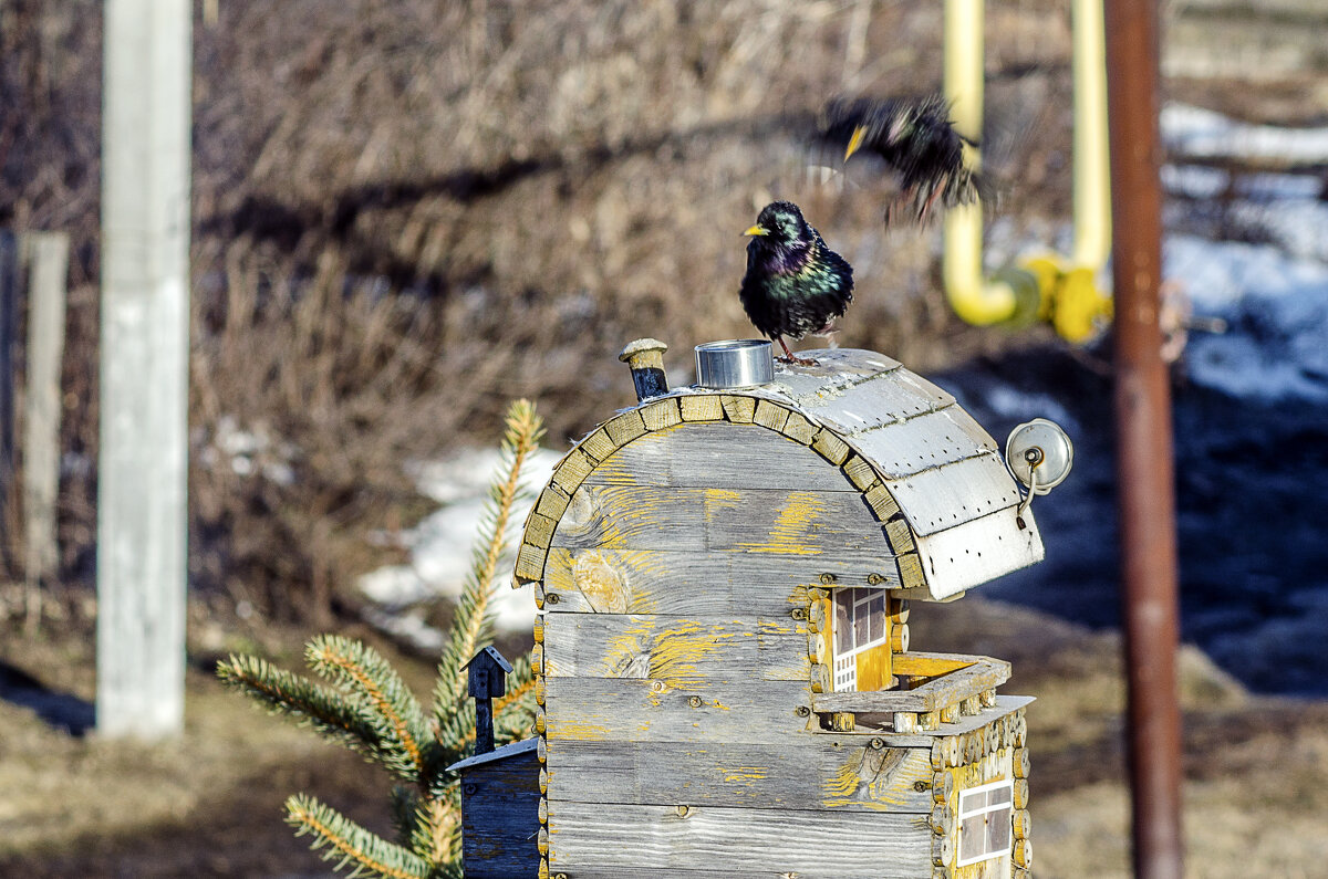 Это моя дача! - Андрей Щетинин Это моя дача! - Андрей Щетинин