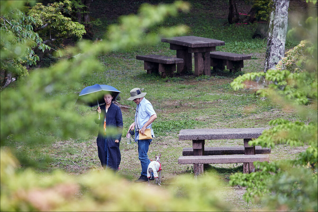 Семейная идиллия - Валерий Готлиб Семейная идиллия - Валерий Готлиб