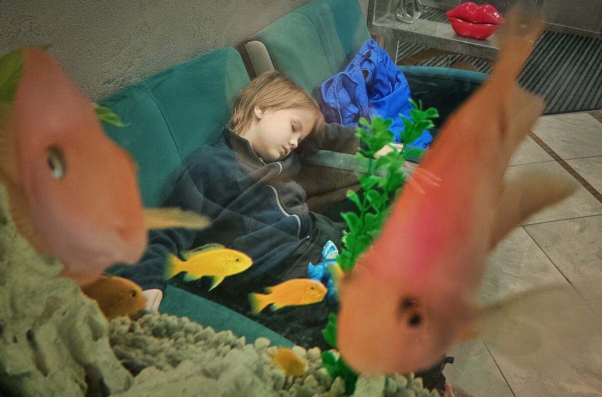 ... - ВЛАДИМИР 