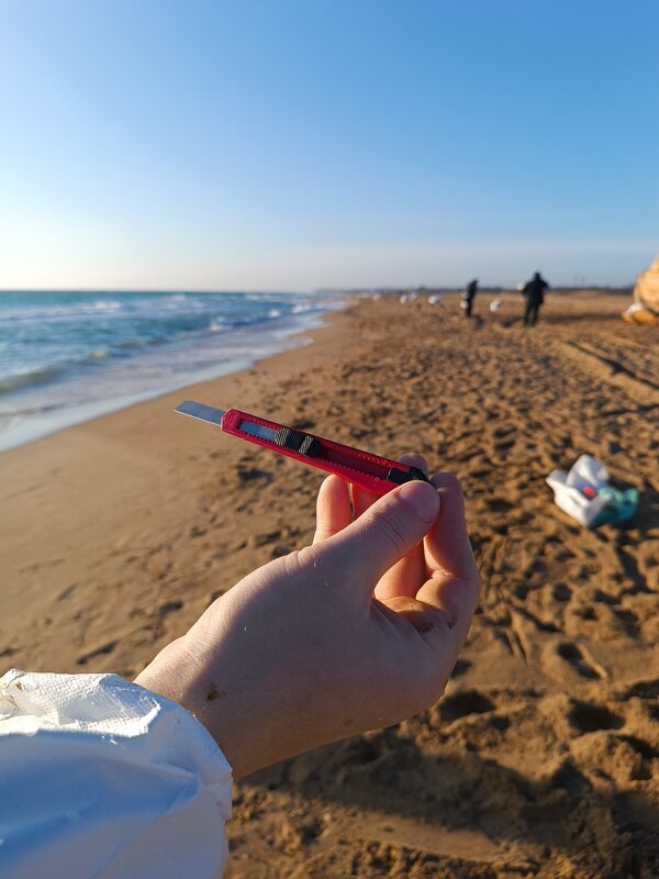 чс - Albina Lukyanchenko