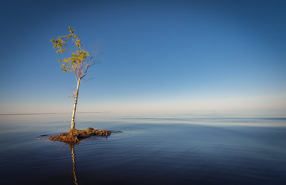 Дрейфующий островок - Николай Дергачев