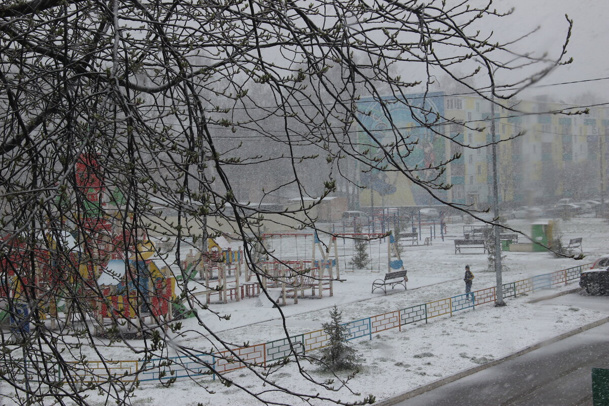 Весна. - Венера Чуйкова