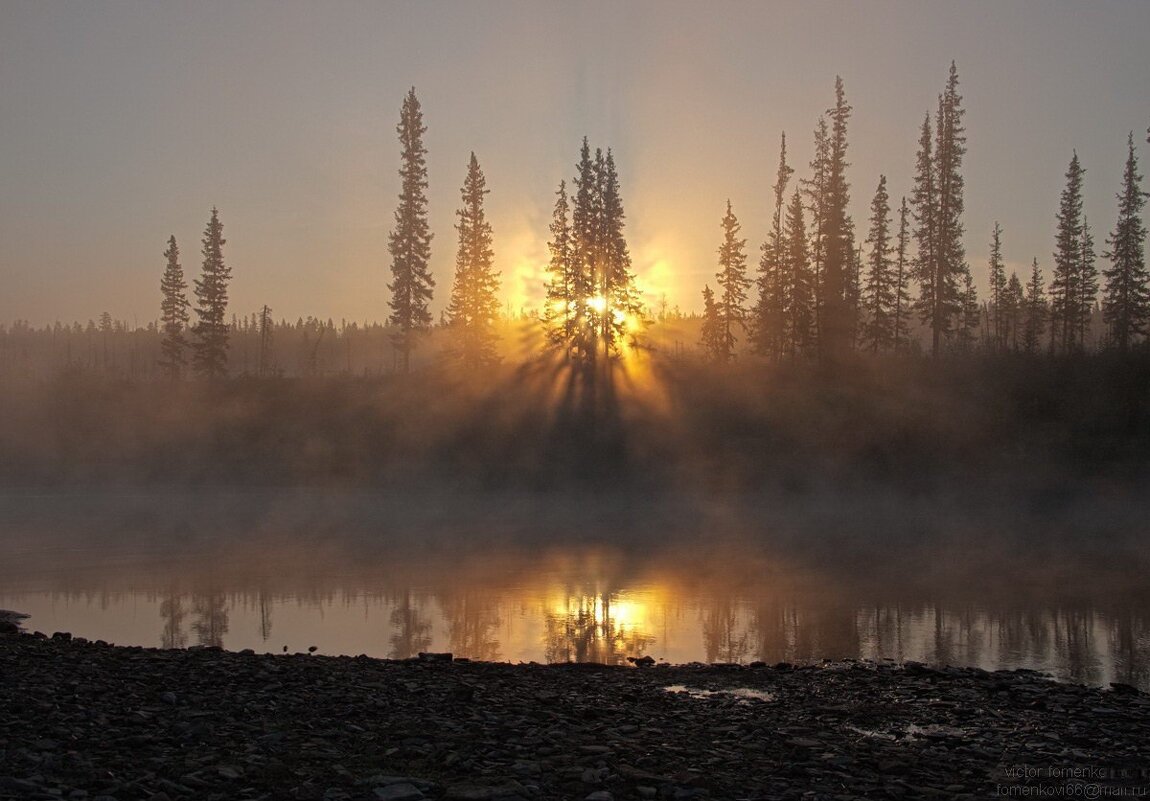 Зорька утренняя - Виктор Фоменко