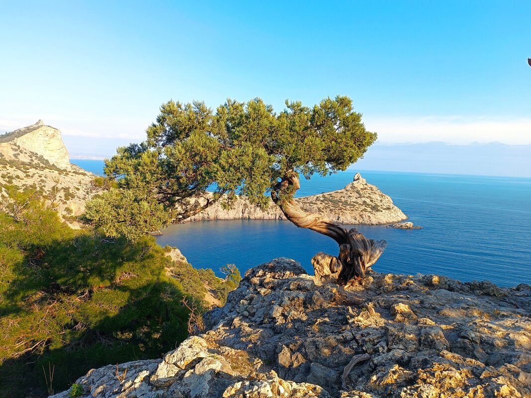 Голубая бухта - Павел Накоряков Голубая бухта - Павел Накоряков