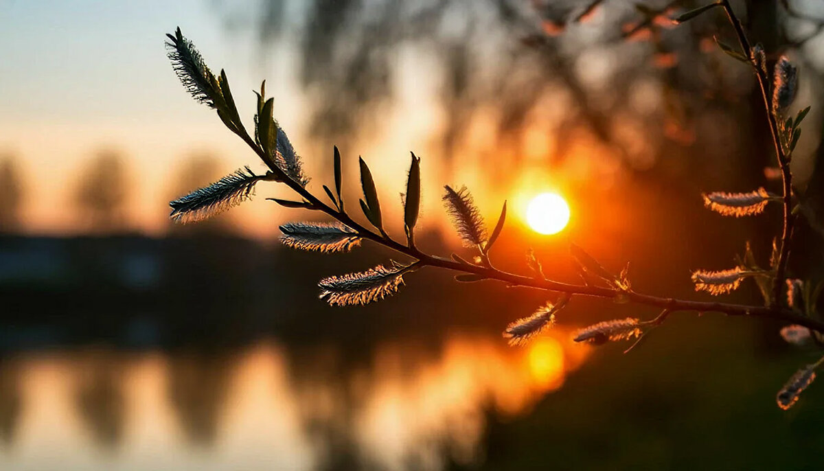 С Вербным воскресеньем - Андрей С Вербным воскресеньем - Андрей