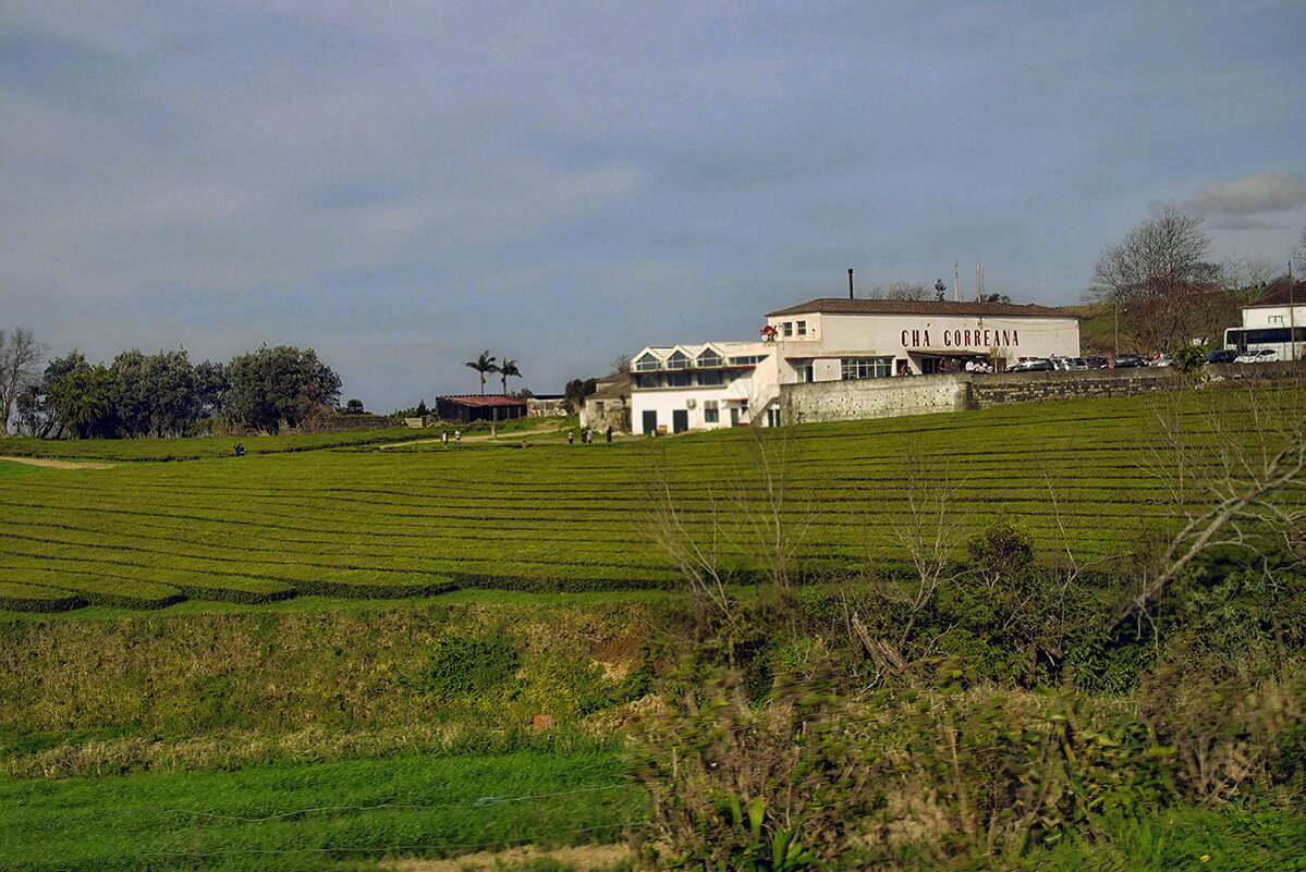 Magic Azores 39 - Arturs Ancans