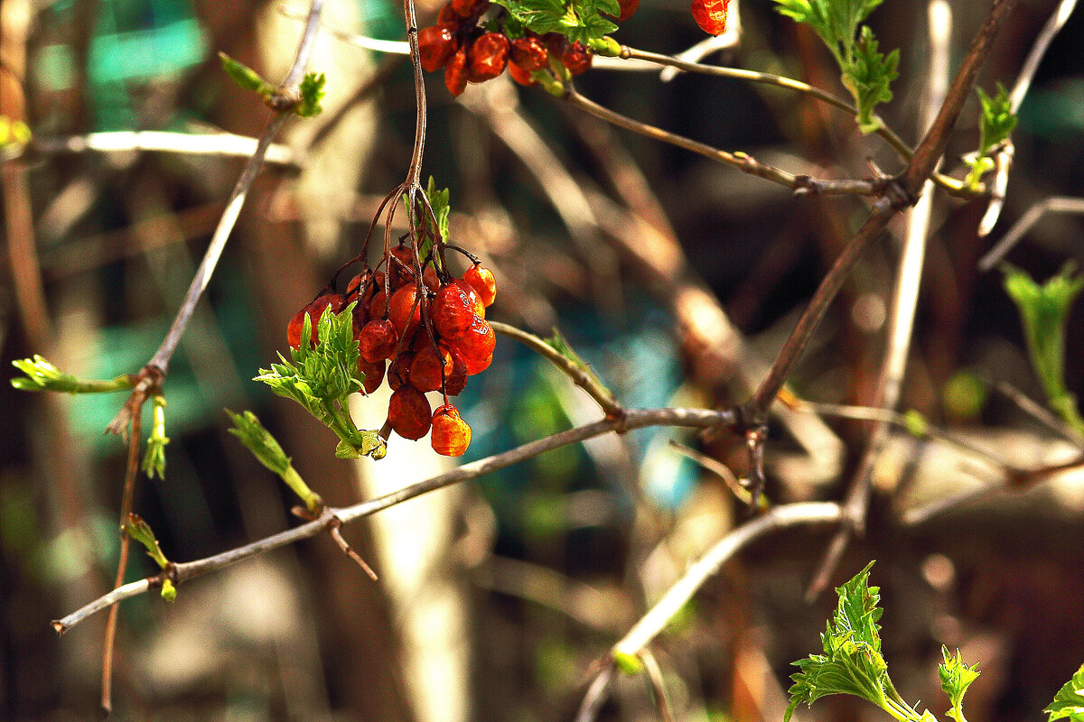Старое и новое - Юрий Гайворонскiий