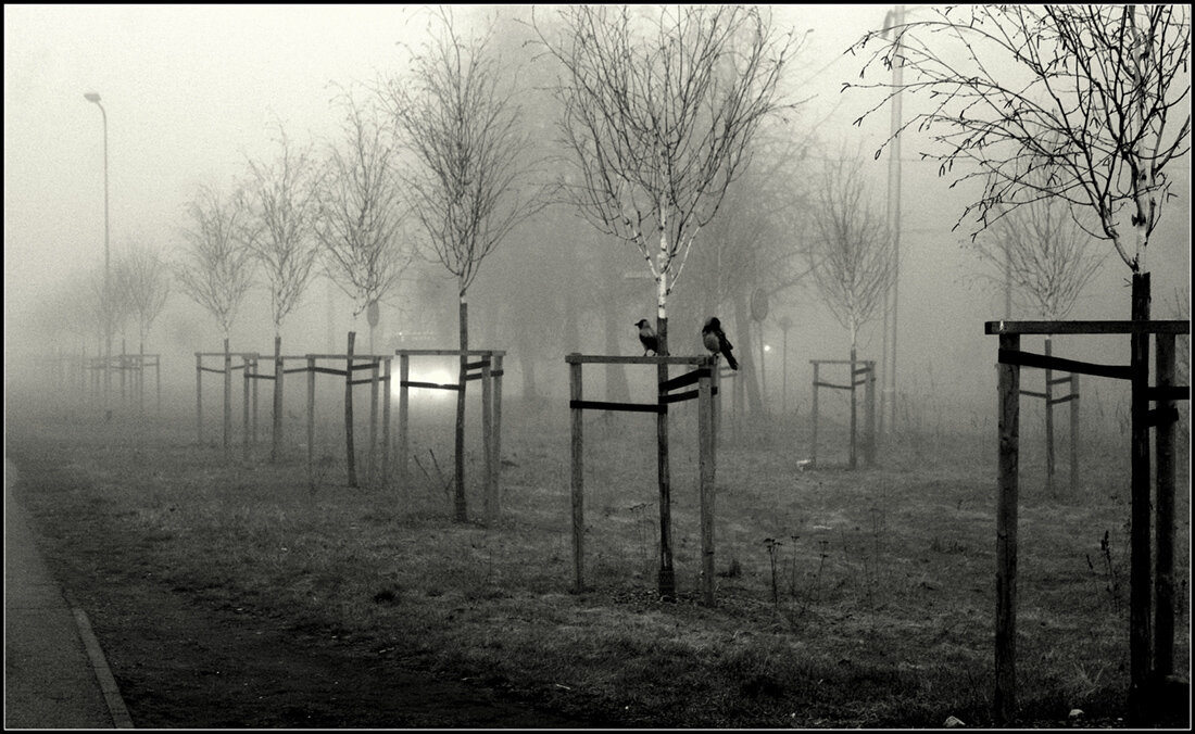 ...послал бы кто кусочек сыра.... - Aleksandr Gal ...послал бы кто кусочек сыра.... - Aleksandr Gal