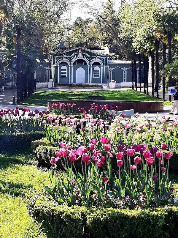 Ривьера - Tata Wolf