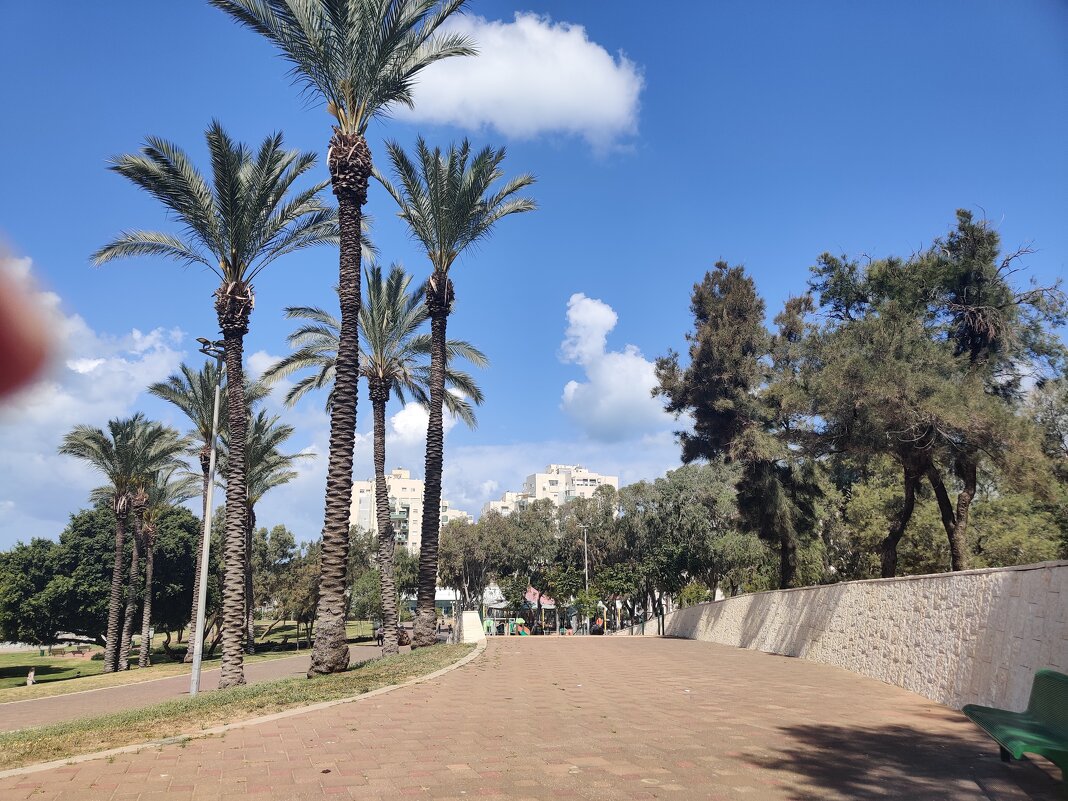 Мы сегодня опять в нашем парке - Светлана Хращевская