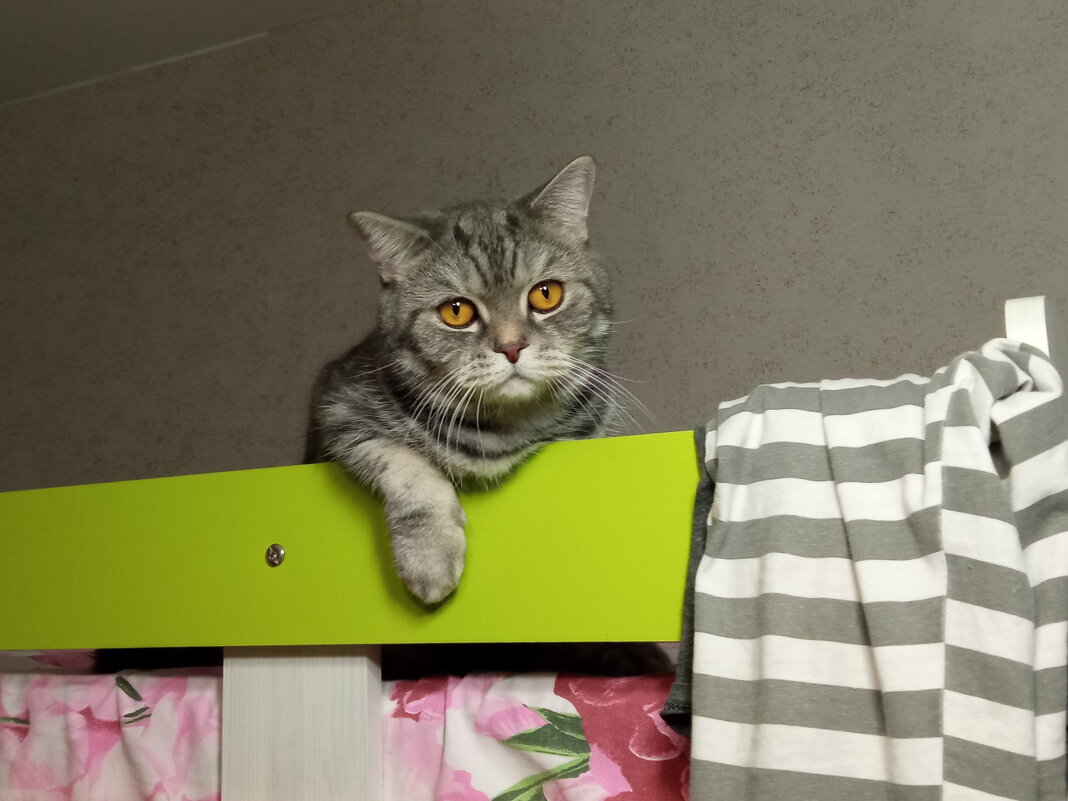 Спокойной ночи! - Павел Трунцев Спокойной ночи! - Павел Трунцев