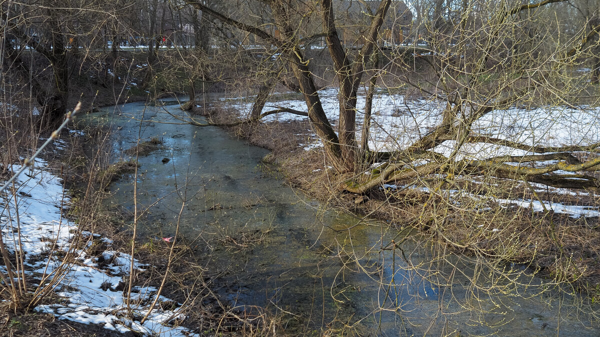 ***** - юрий поляков
