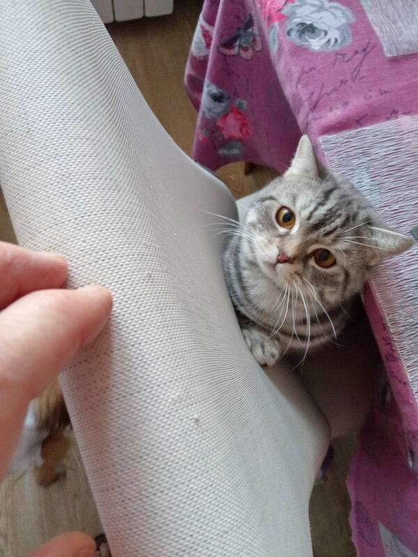 На старт... - Павел Трунцев На старт... - Павел Трунцев