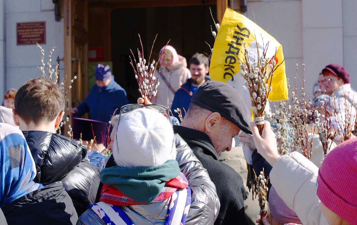 ВЕРБНОЕ - Виктор Никитенко