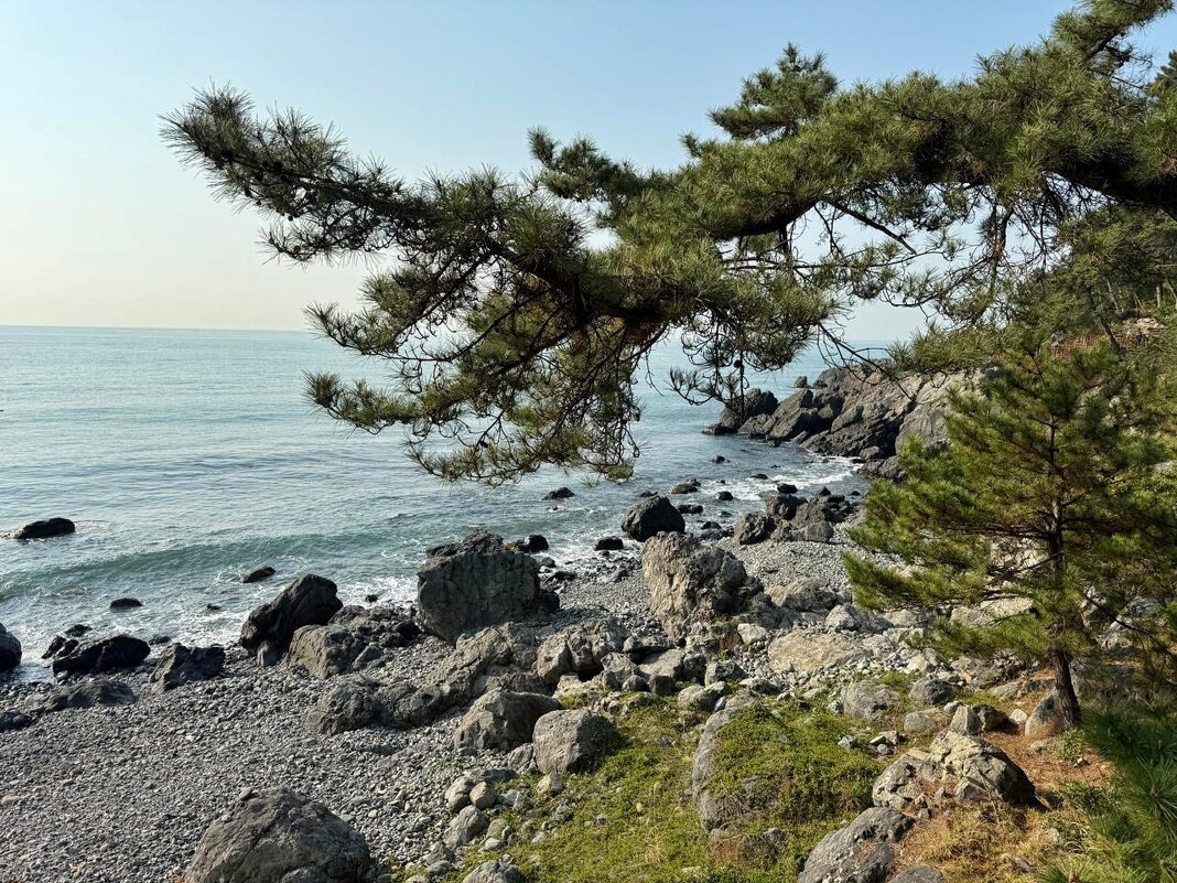 Корейские зарисовки - Сергей Б. Корейские зарисовки - Сергей Б.