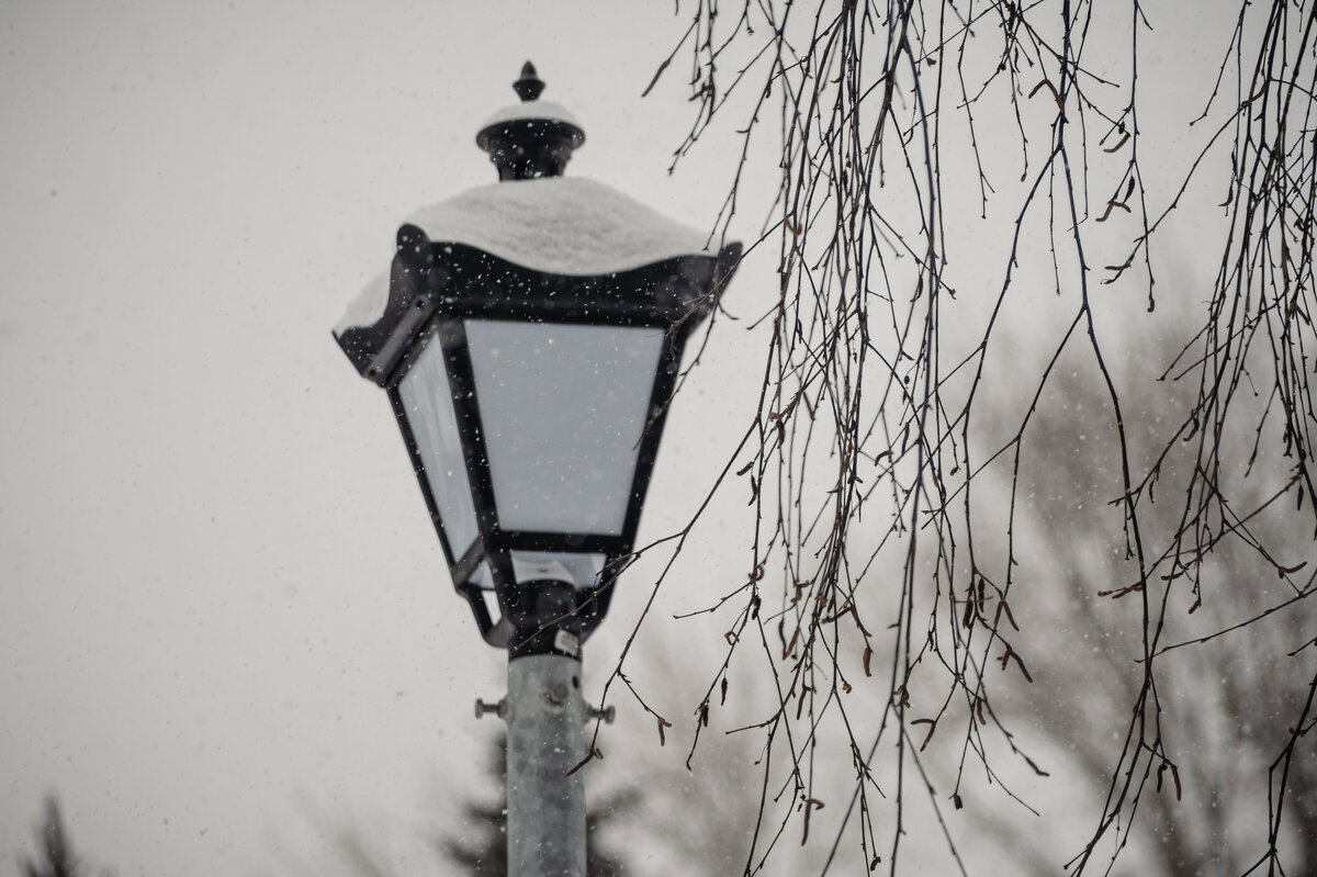 *** - Николай Чекалин