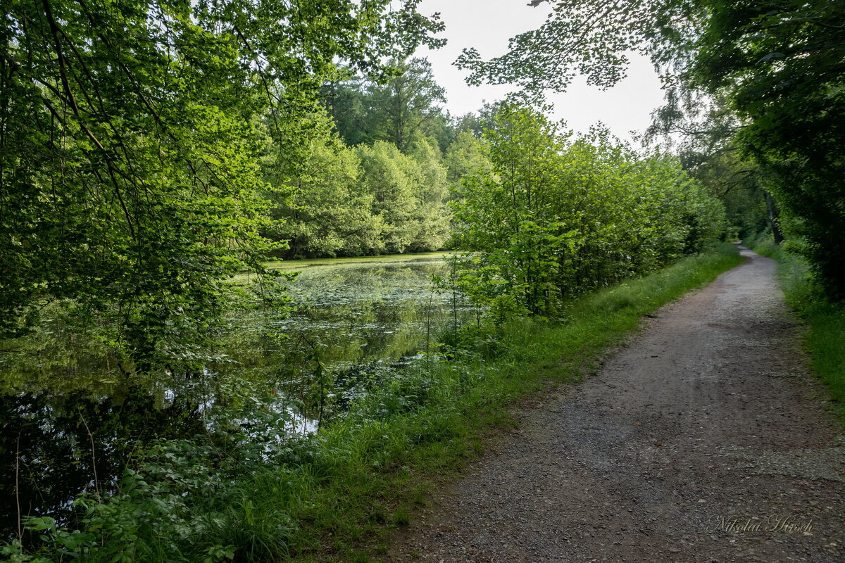 По лесопарку... - Николай Гирш По лесопарку... - Николай Гирш