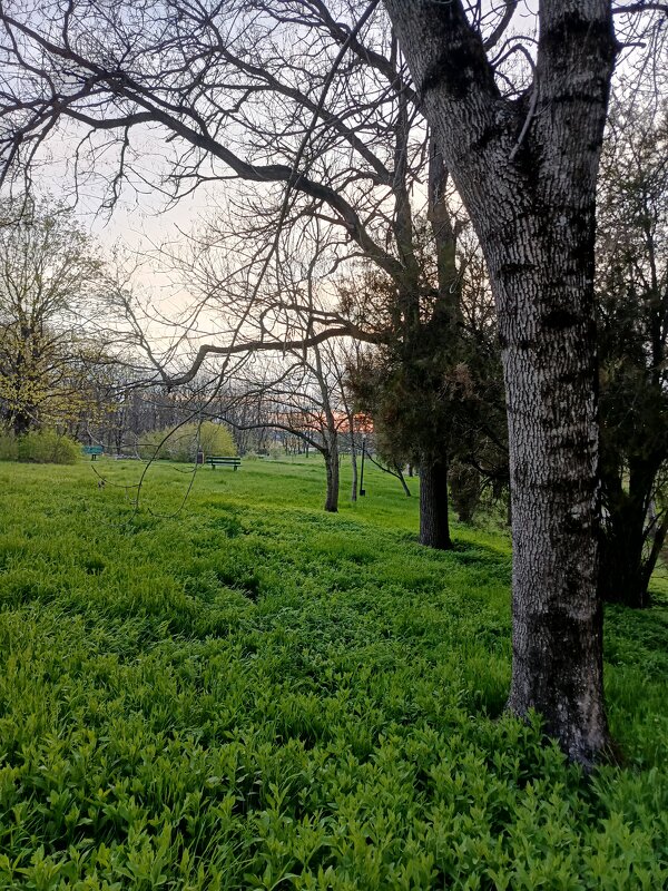 Апрель - Вилена 