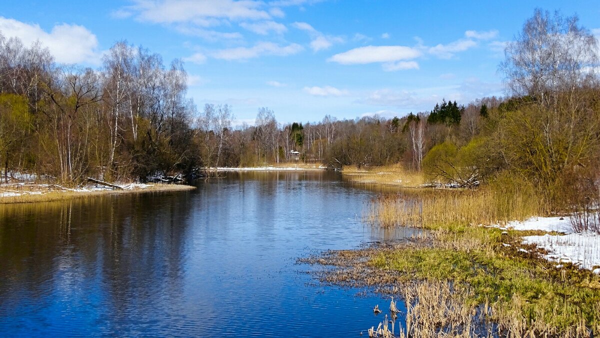 Моя Смоленщина - Милешкин Владимир Алексеевич 
