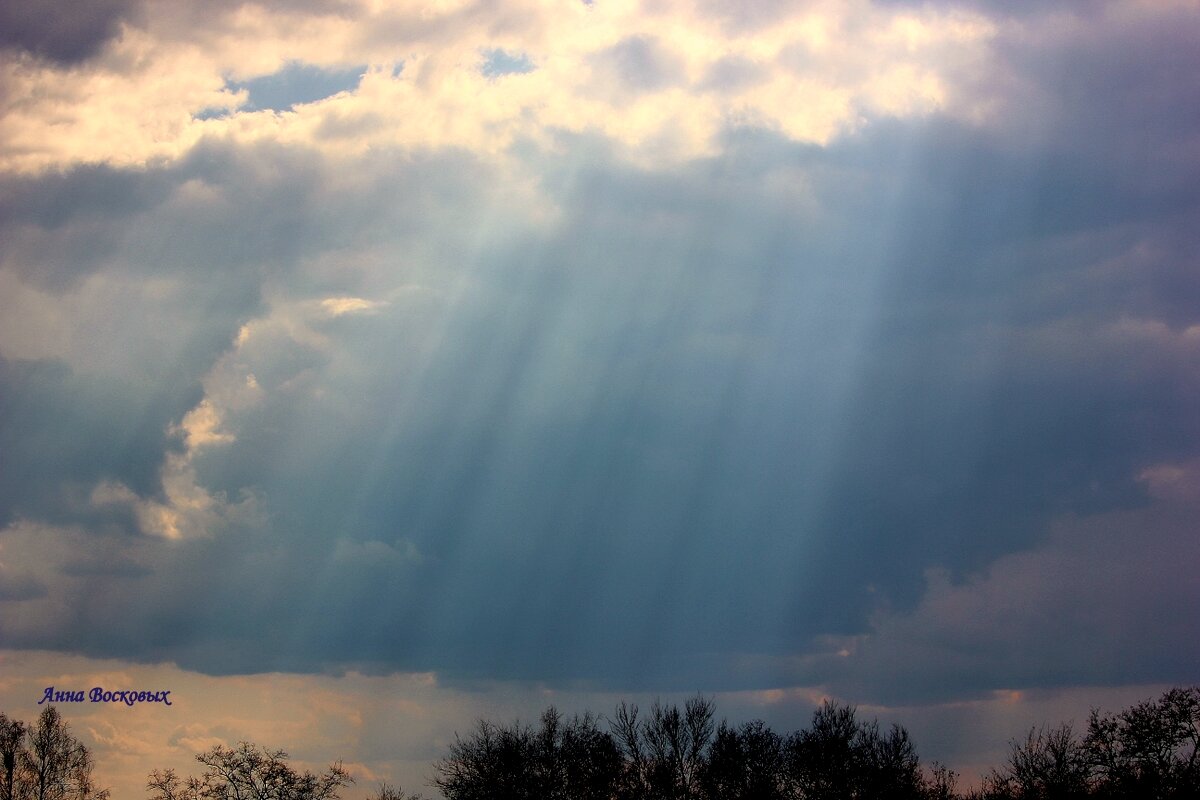У нас дожди! - Восковых Анна Васильевна У нас дожди! - Восковых Анна Васильевна
