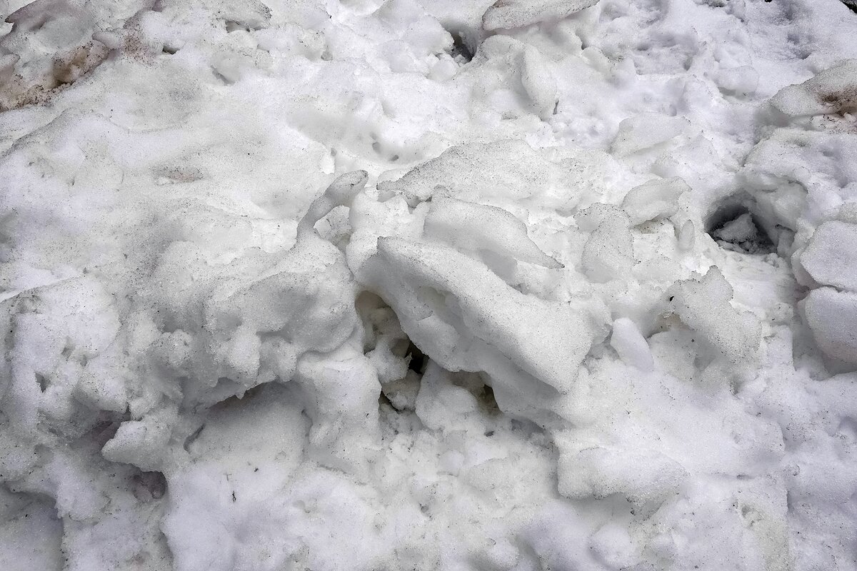 Предсмертная гримаса апрельского снега - Валерий Иванович Предсмертная гримаса апрельского снега - Валерий Иванович