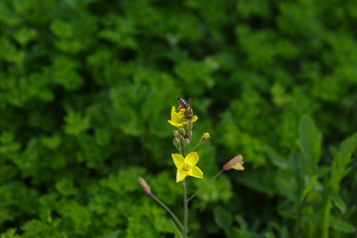 За работой - Сергей Швечков