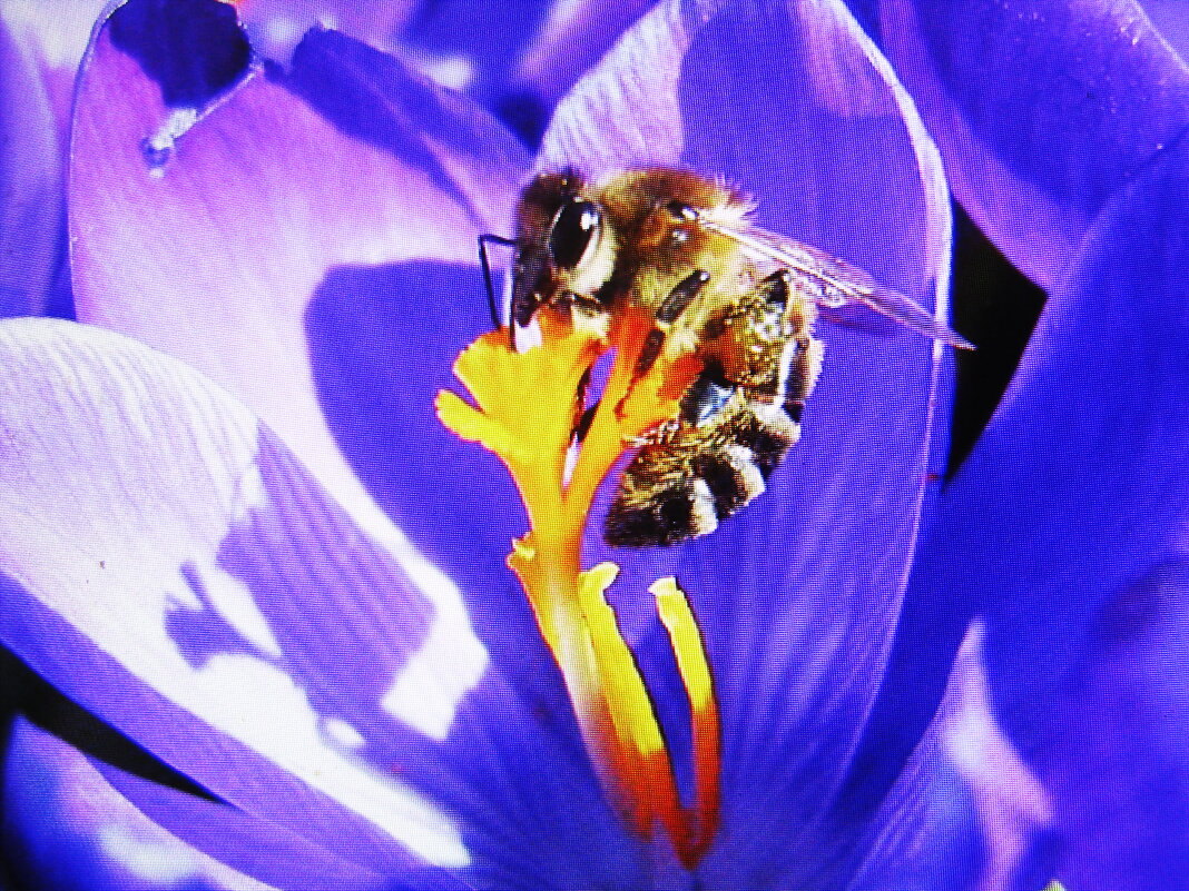 Наслаждение - Людмила Смородинская Наслаждение - Людмила Смородинская
