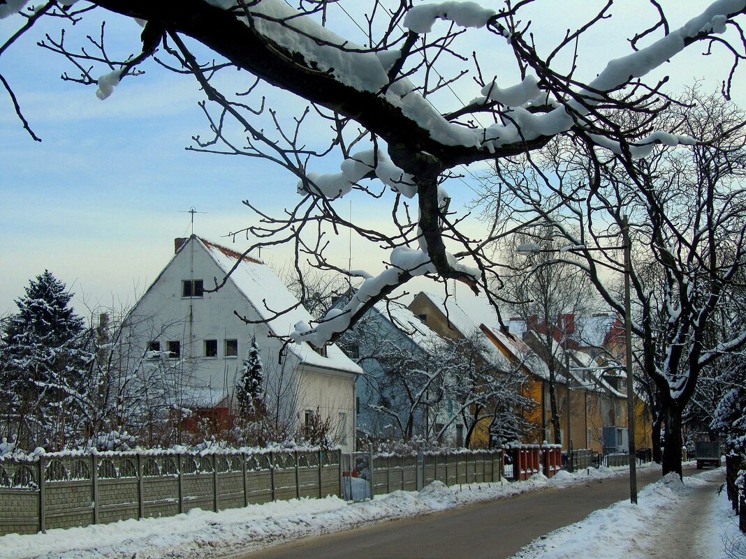 Прусские домики - Сергей Карачин